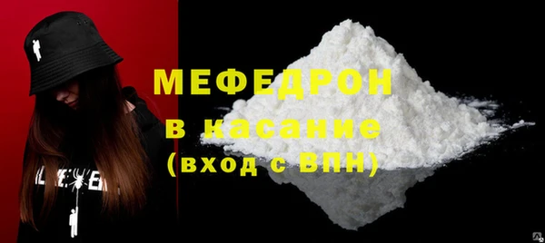 индика Тавда