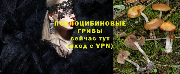 экстази Дмитровск