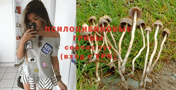 гашиш Дмитров
