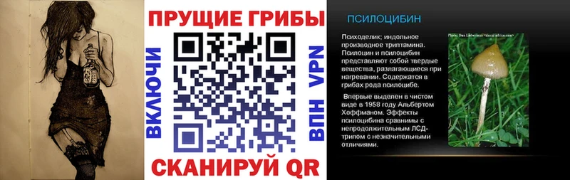 Псилоцибиновые грибы Psilocybine cubensis  где найти наркотики  Сосногорск 