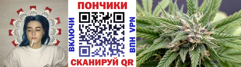 hydra ТОР  купить закладку  Сосногорск  Бошки Шишки Amnesia 